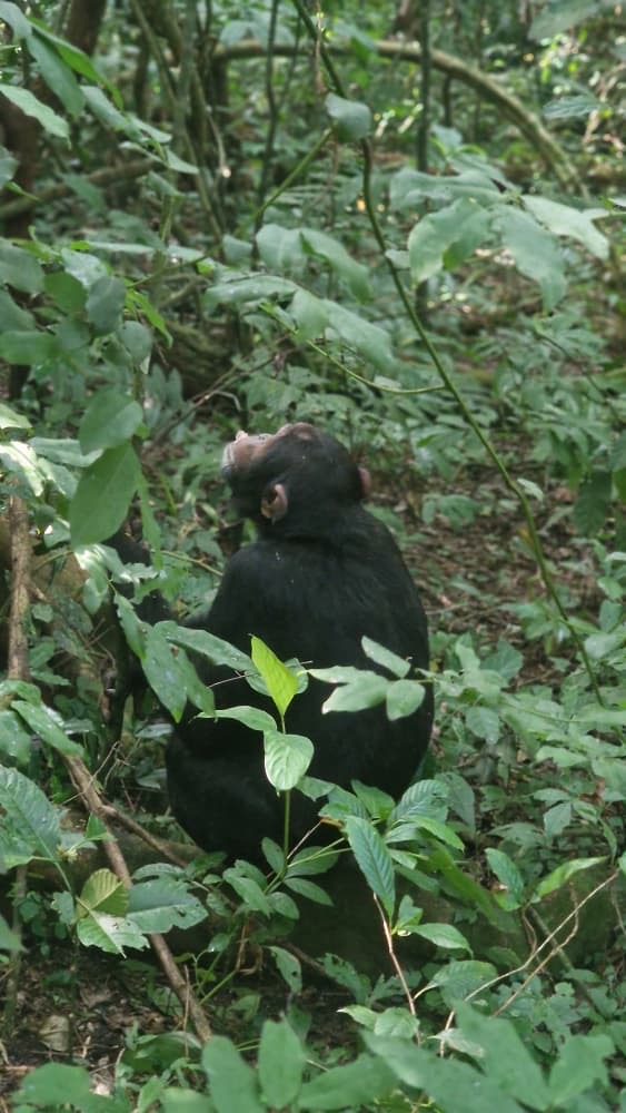 5 Day Queen Elizabeth Safari Uganda