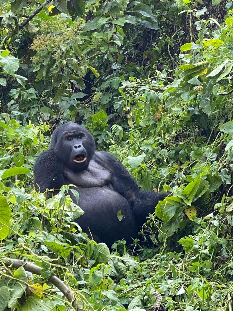 Queen Elizabeth National Park